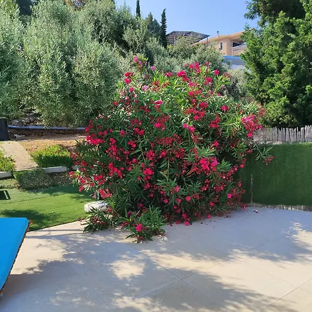 Okeanos Vine Luxury Villa *