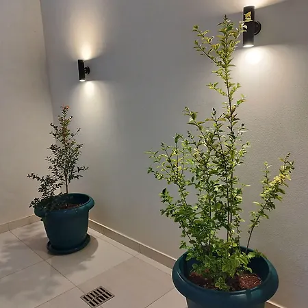 Okeanos Vine Luxury Villa