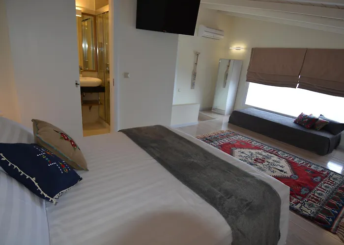 Villa Okeanos Vine Luxury *